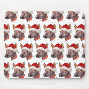 Mexican Hairless Dog Breed Christmas Stars Mouse Pad