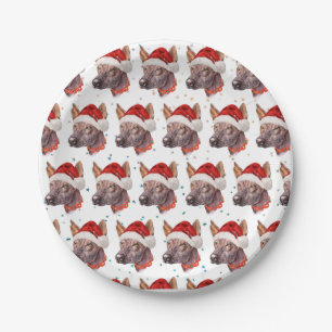 Mexican Hairless Dog Breed Christmas Stars Paper Plate