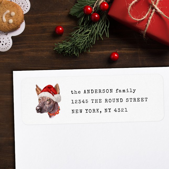 Mexican Hairless Xoloitzcuintle Dog Return Address (Creator Uploaded)