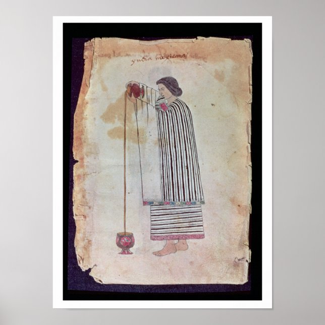 Mexican Indian Preparing Chocolate, from the Codex Poster (Front)