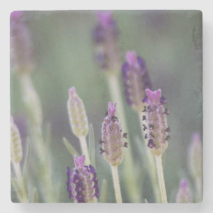 Mexican Lavender Stone Coaster
