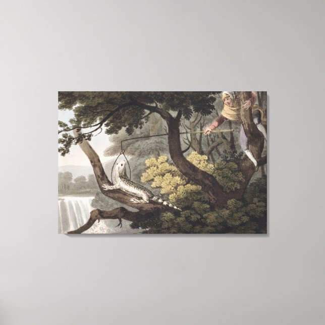 Mexican Lizard Catcher, engraved by Matthew Dubour Canvas Print (Front)