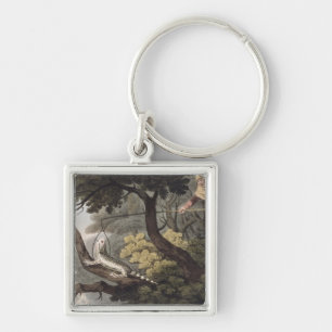 Mexican Lizard Catcher, engraved by Matthew Dubour Keychain