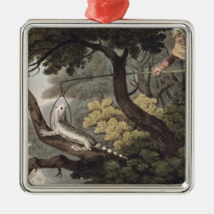 Mexican Lizard Catcher, engraved by Matthew Dubour Metal Ornament