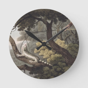 Mexican Lizard Catcher, engraved by Matthew Dubour Round Clock