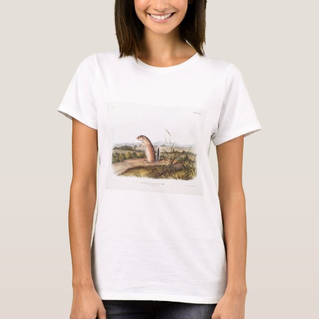 Mexican Marmot Squirrel Camping Deco Gifts T-Shirt (Front)