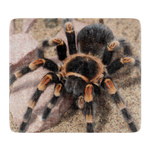 Mexican Red knee Tarantula Spider Cutting Board
