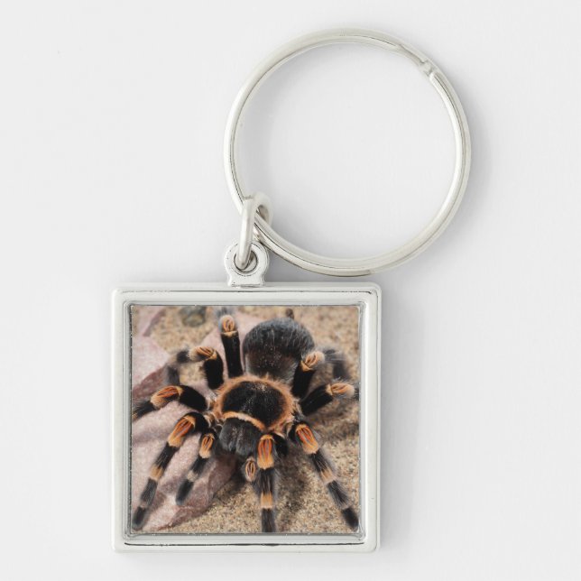 Mexican Red Knee Tarantula Spider Keychain (Front)