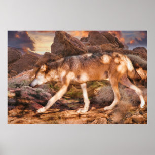MEXICAN RED WOLF DESERT TREK POSTER