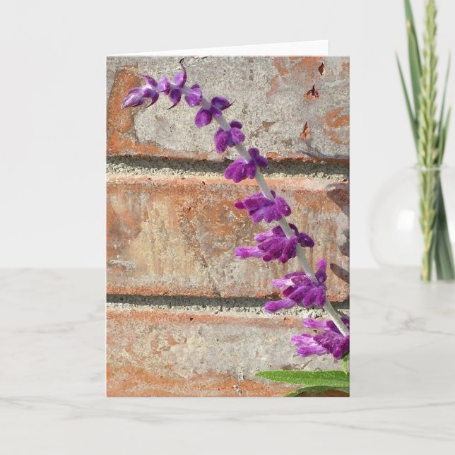 Mexican Sage Fluorishes Against Warm Brick Card (Front)