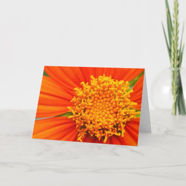 Mexican Sunflower Card (Front)