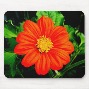 Mexican Sunflower Mouse Pad