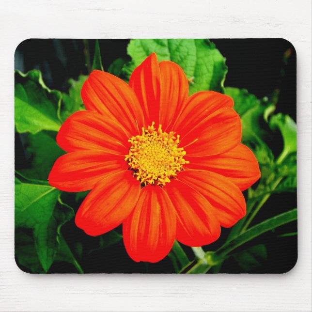 Mexican Sunflower Mouse Pad (Front)