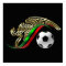 Mexico 2014 Mexican flag World Soccer futbol