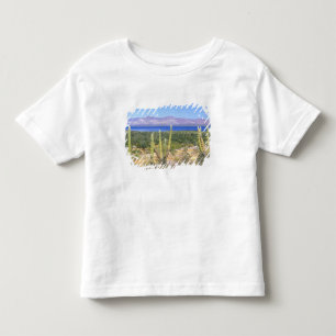 Mexico, Baja California Sur, Cardon Cactus at Toddler T-shirt
