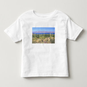 Mexico, Baja California Sur, Cardon Cactus at Toddler T-shirt