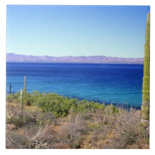 Mexico, Baja California Sur, Mulege, Bahia 2 Tile