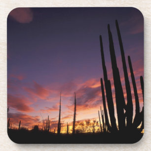 Mexico, Baja del Norte, Catavina Desert National 3 Coaster