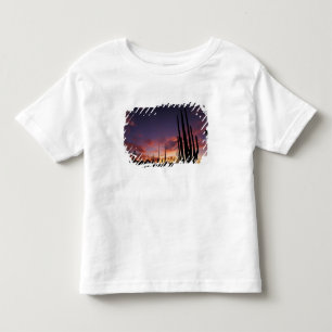 Mexico, Baja del Norte, Catavina Desert National 3 Toddler T-shirt