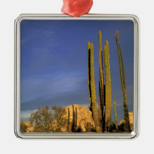 Mexico, Baja del Norte, Catavina Desert National Metal Ornament