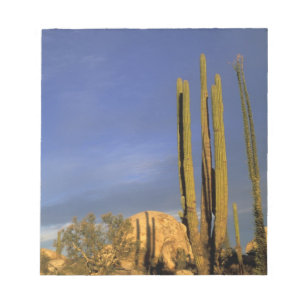 Mexico, Baja del Norte, Catavina Desert National Notepad
