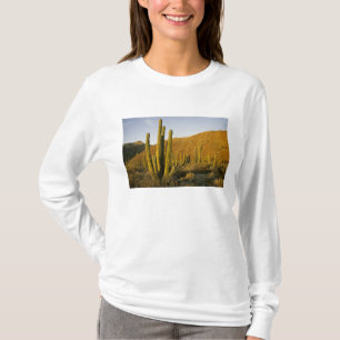 Mexico, Baja, Santa Catalina Island, Sea of T-Shirt