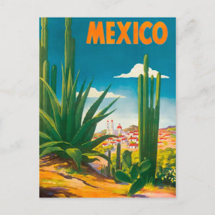 Mexico Cactus Vintage Travel Postcard