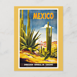 Mexico Cactus Vintage Travel Postcard