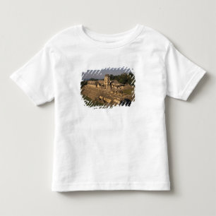Mexico, Chiapas province,  Palenque, The Palace Toddler T-shirt
