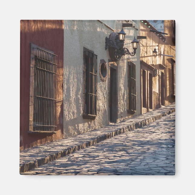 Mexico Cobblestone Street Magnet (Front)