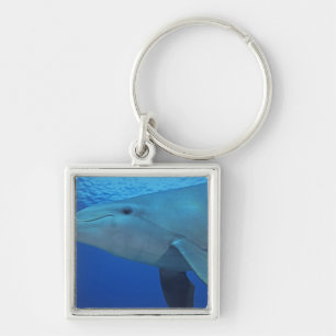 Mexico, Cozumel. Bottlenosed Dolphin, Tursiops 4 Keychain