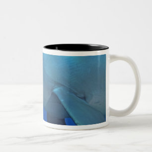 Mexico, Cozumel. Bottlenosed Dolphin, Tursiops 4 Two-Tone Coffee Mug