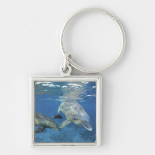 Mexico, Cozumel. Bottlenosed Dolphin, Tursiops 5 Keychain
