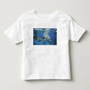 Mexico, Cozumel. Bottlenosed Dolphin, Tursiops 5 Toddler T-shirt
