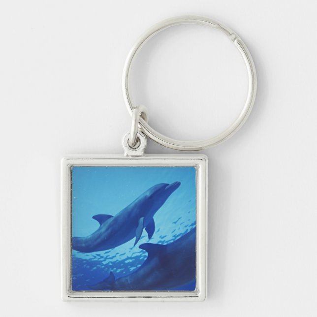 Mexico, Cozumel. Bottlenosed Dolphin, Tursiops Keychain (Front)