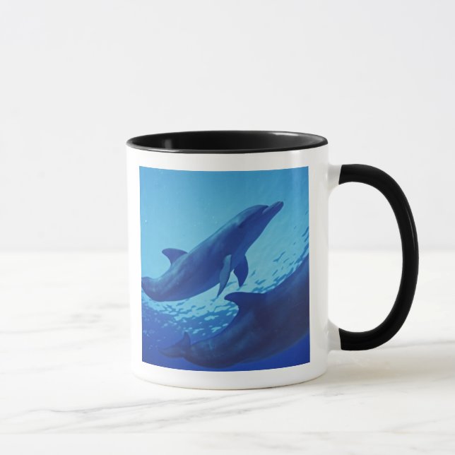 Mexico, Cozumel. Bottlenosed Dolphin, Tursiops Mug (Right)