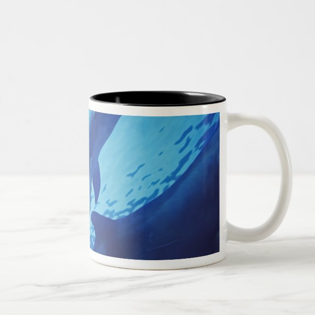 Mexico, Cozumel. Bottlenosed Dolphin, Tursiops Two-Tone Coffee Mug (Right)