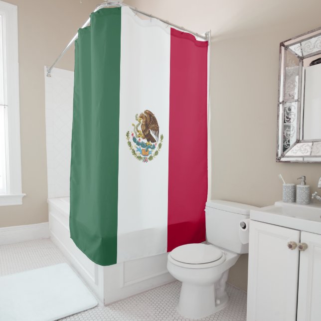 Mexico flag (In Situ)