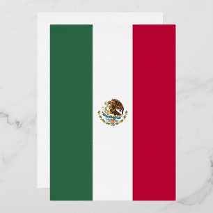 Mexico flag
