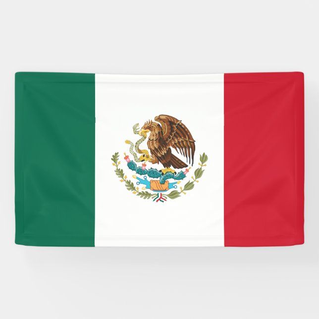 Mexico flag banner (Horizontal)