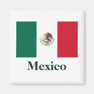 Mexico Flag Magnet