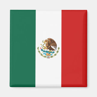 Mexico Flag Magnet