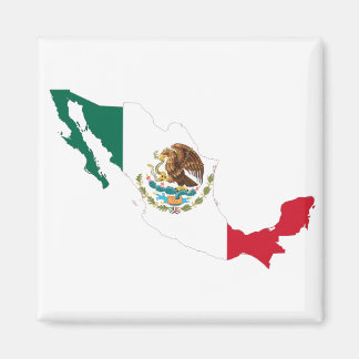 Mexico Flag Map Magnet
