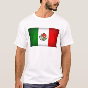 Mexico Flag Stylized T-Shirt