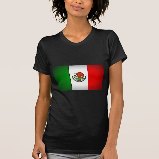 Mexico Flag Stylized T-Shirt (Front)