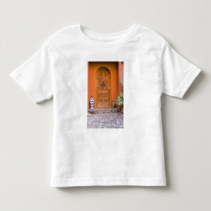 Mexico, Guanajuato state, San Miguel. Casa de la Toddler T-shirt