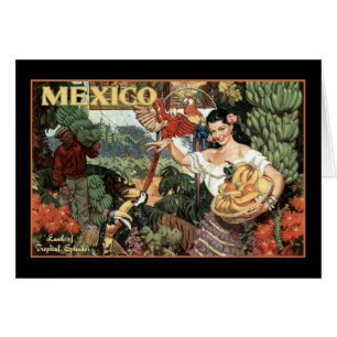 mexico land of tropical splendour