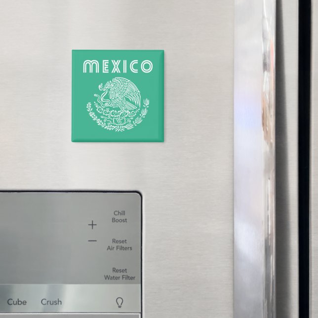 Mexico Magnet (In Situ (Fridge))