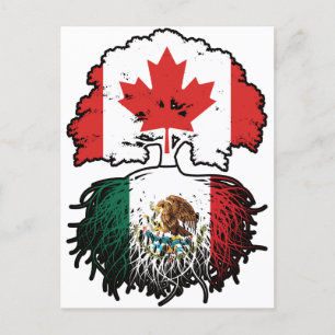 Mexico Mexican Canadian Canada Tree Roots Flag Postcard