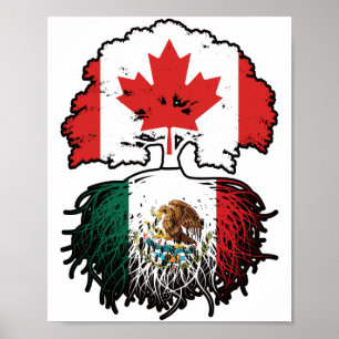 Mexico Mexican Canadian Canada Tree Roots Flag Poster